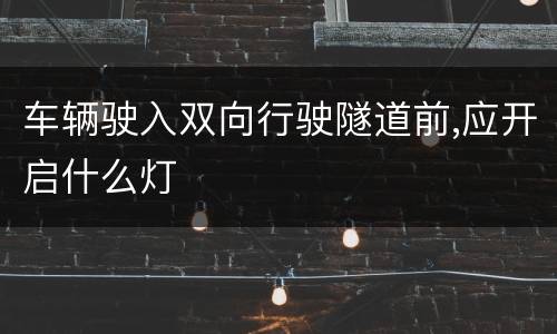 车辆驶入双向行驶隧道前,应开启什么灯