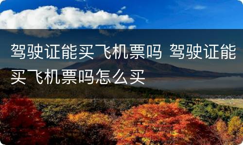 驾驶证能买飞机票吗 驾驶证能买飞机票吗怎么买