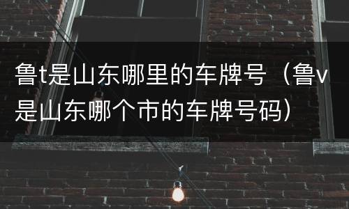 鲁t是山东哪里的车牌号（鲁v是山东哪个市的车牌号码）