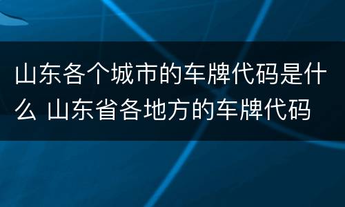 山东各个城市的车牌代码是什么 山东省各地方的车牌代码