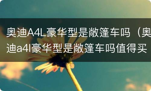 奥迪A4L豪华型是敞篷车吗（奥迪a4l豪华型是敞篷车吗值得买吗）
