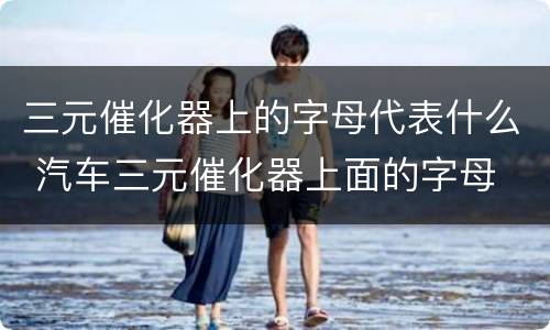 三元催化器上的字母代表什么 汽车三元催化器上面的字母