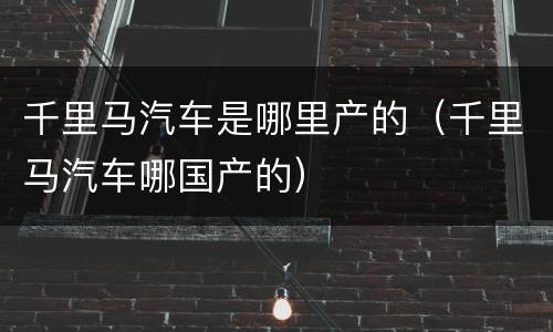 千里马汽车是哪里产的（千里马汽车哪国产的）