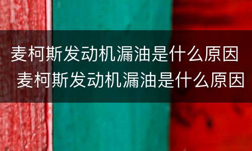 麦柯斯发动机漏油是什么原因 麦柯斯发动机漏油是什么原因引起的
