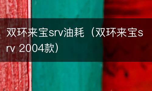 双环来宝srv油耗（双环来宝srv 2004款）