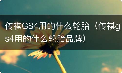 传祺GS4用的什么轮胎（传祺gs4用的什么轮胎品牌）