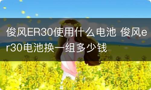 俊风ER30使用什么电池 俊风er30电池换一组多少钱