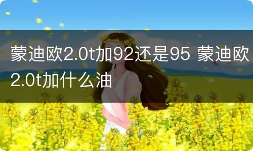 蒙迪欧2.0t加92还是95 蒙迪欧2.0t加什么油