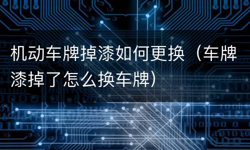 机动车牌掉漆如何更换（车牌漆掉了怎么换车牌）