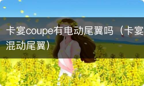 卡宴coupe有电动尾翼吗（卡宴混动尾翼）