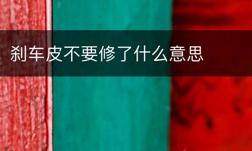 刹车皮不要修了什么意思