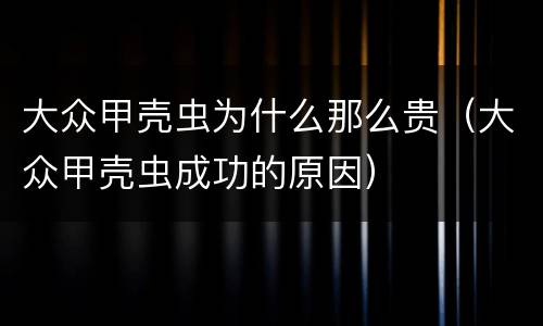 大众甲壳虫为什么那么贵（大众甲壳虫成功的原因）