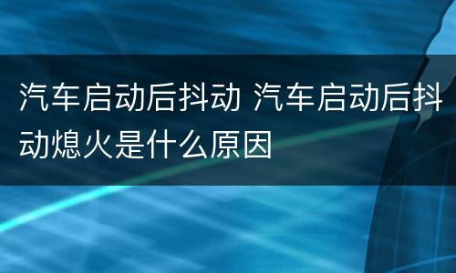 汽车启动后抖动 汽车启动后抖动熄火是什么原因