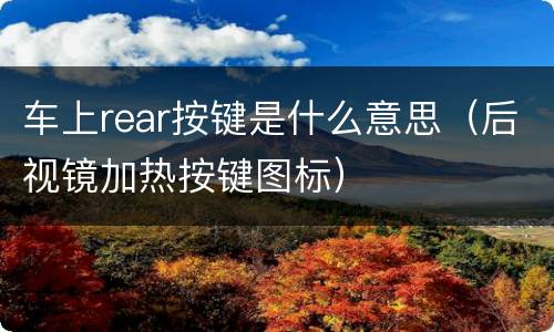 车上rear按键是什么意思（后视镜加热按键图标）