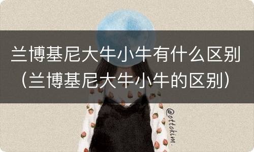 兰博基尼大牛小牛有什么区别（兰博基尼大牛小牛的区别）
