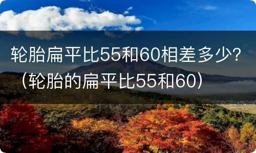 轮胎扁平比55和60相差多少？（轮胎的扁平比55和60）