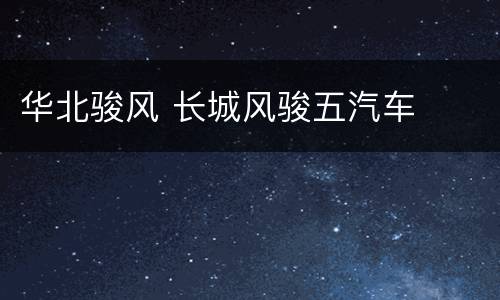 华北骏风 长城风骏五汽车