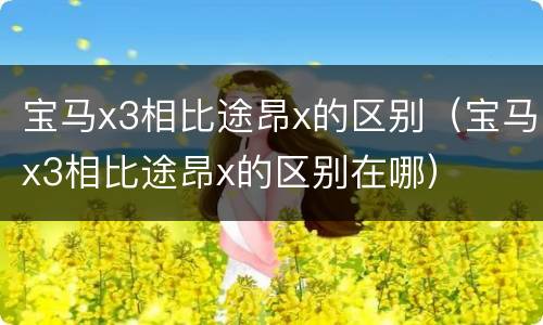 宝马x3相比途昂x的区别（宝马x3相比途昂x的区别在哪）