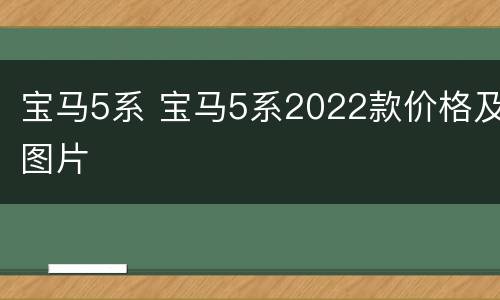 宝马5系 宝马5系2022款价格及图片