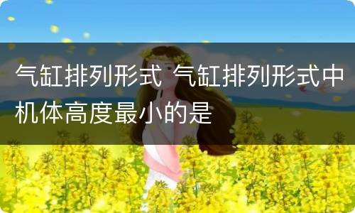 气缸排列形式 气缸排列形式中机体高度最小的是