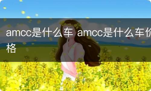 amcc是什么车 amcc是什么车价格