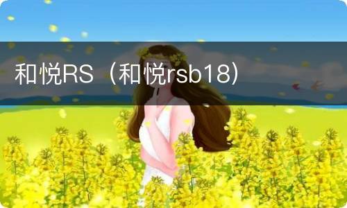 和悦RS（和悦rsb18）