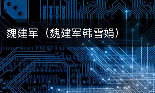 魏建军（魏建军韩雪娟）