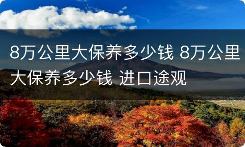 8万公里大保养多少钱 8万公里大保养多少钱 进口途观