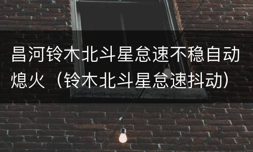昌河铃木北斗星怠速不稳自动熄火（铃木北斗星怠速抖动）