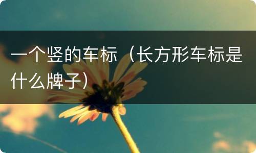 一个竖的车标（长方形车标是什么牌子）