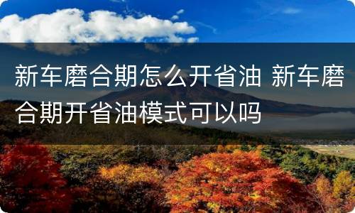 新车磨合期怎么开省油 新车磨合期开省油模式可以吗