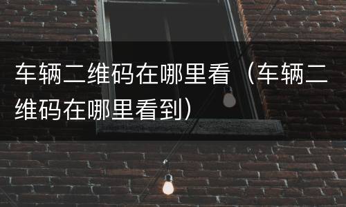 车辆二维码在哪里看（车辆二维码在哪里看到）