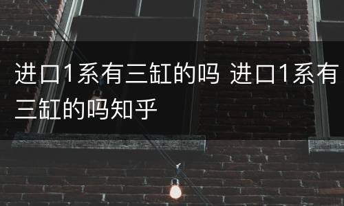 进口1系有三缸的吗 进口1系有三缸的吗知乎