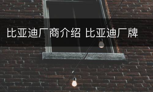 比亚迪厂商介绍 比亚迪厂牌