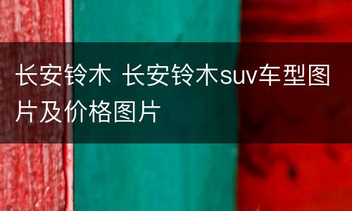 长安铃木 长安铃木suv车型图片及价格图片