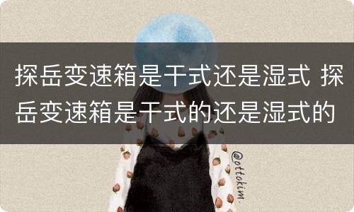 探岳变速箱是干式还是湿式 探岳变速箱是干式的还是湿式的