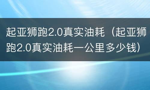 起亚狮跑2.0真实油耗（起亚狮跑2.0真实油耗一公里多少钱）