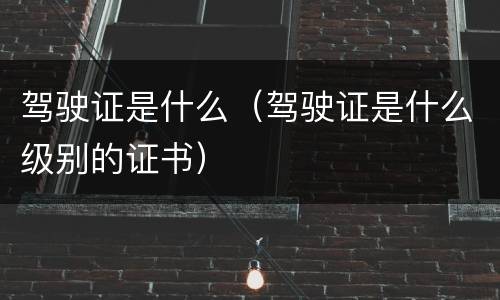 驾驶证是什么（驾驶证是什么级别的证书）