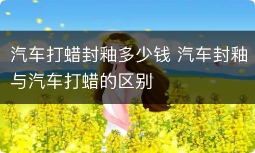 汽车打蜡封釉多少钱 汽车封釉与汽车打蜡的区别