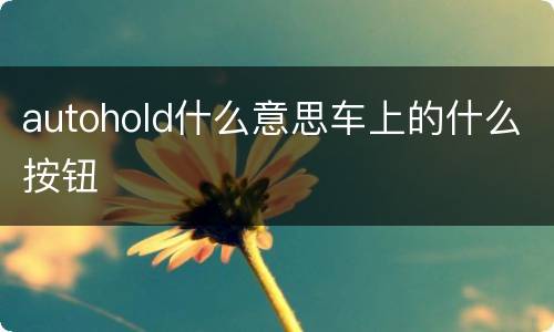 autohold什么意思车上的什么按钮