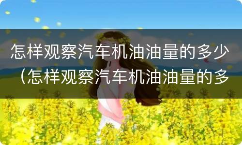 怎样观察汽车机油油量的多少（怎样观察汽车机油油量的多少呢）