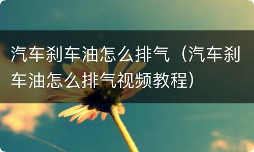 汽车刹车油怎么排气（汽车刹车油怎么排气视频教程）