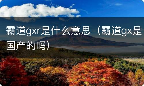 霸道gxr是什么意思（霸道gx是国产的吗）