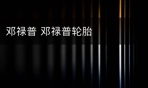 邓禄普 邓禄普轮胎