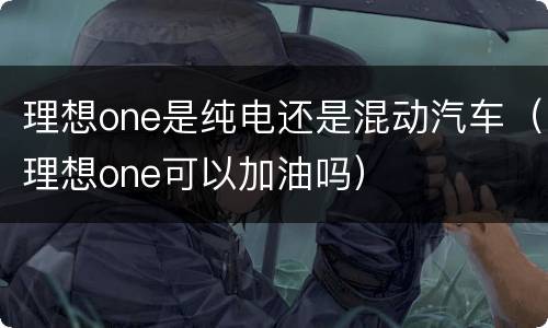理想one是纯电还是混动汽车（理想one可以加油吗）