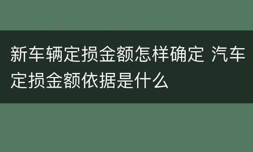 新车辆定损金额怎样确定 汽车定损金额依据是什么