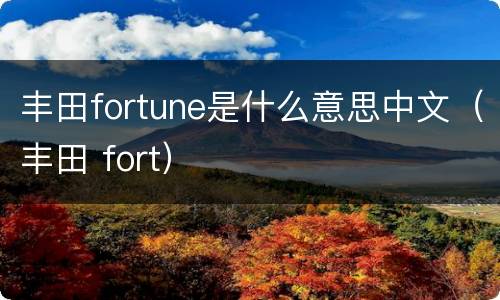 丰田fortune是什么意思中文（丰田 fort）