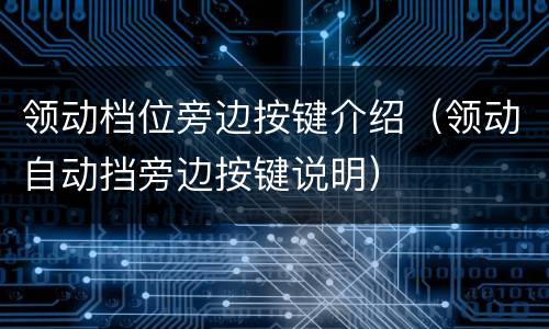 领动档位旁边按键介绍（领动自动挡旁边按键说明）