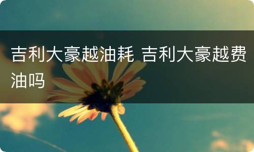 吉利大豪越油耗 吉利大豪越费油吗