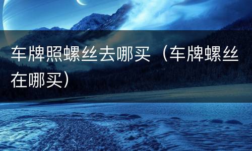 车牌照螺丝去哪买（车牌螺丝在哪买）